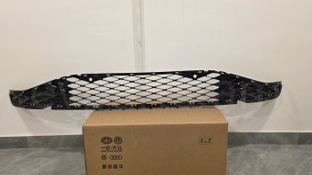 Դիմացի թափարգելի ցանց VOLKSWAGEN ID.4